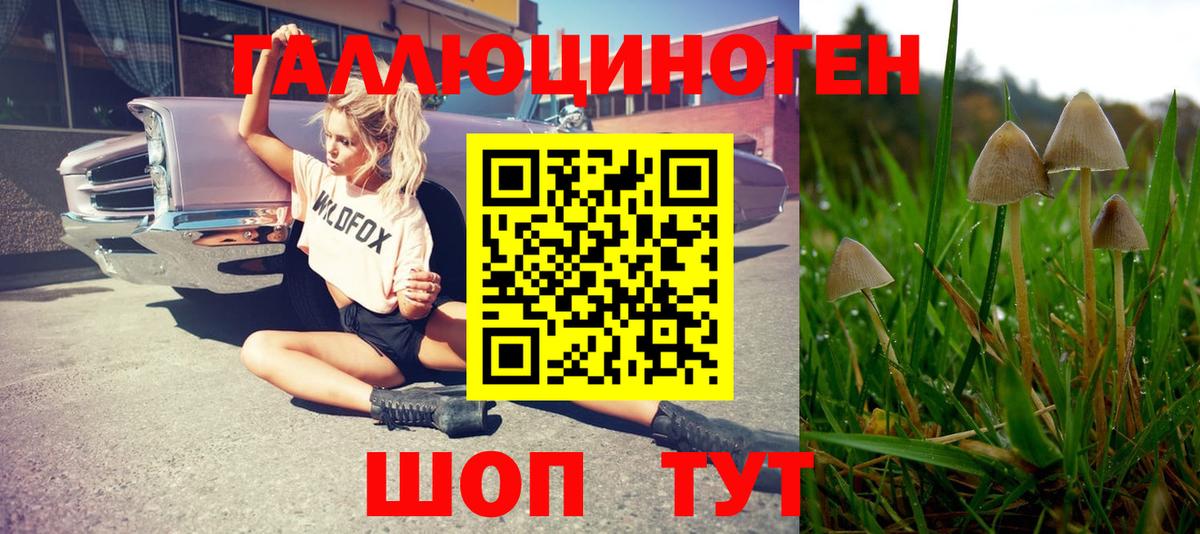 Галлюциногенные грибы ЛСД  Вход с VPN  Владикавказ 