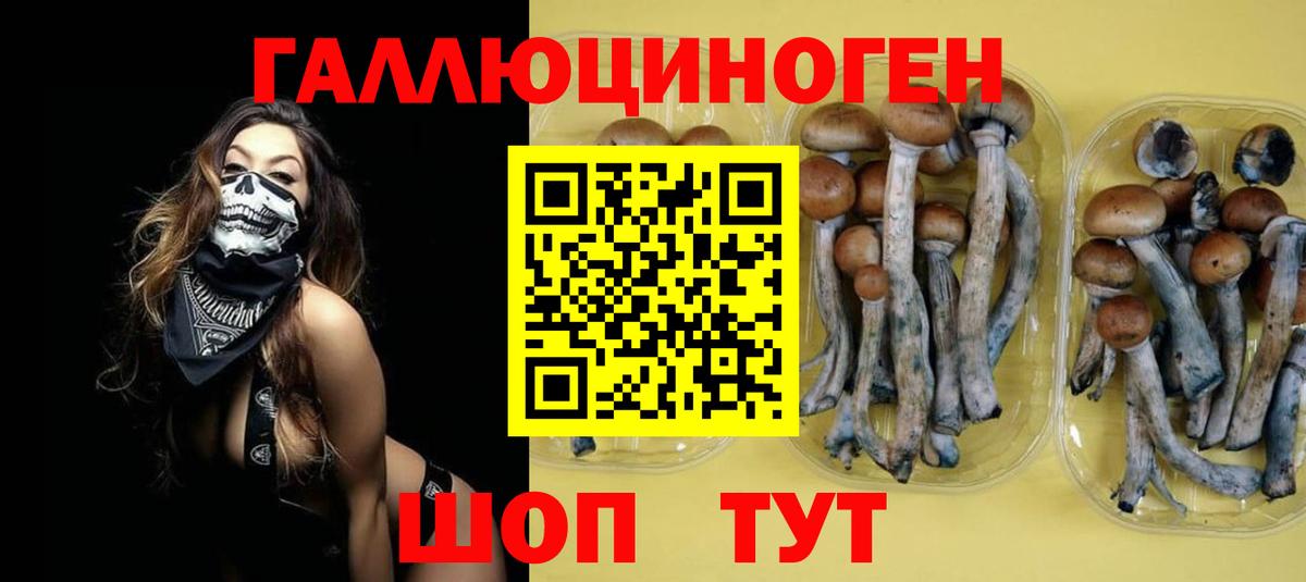 Псилоцибиновые грибы MAGIC MUSHROOMS Владикавказ